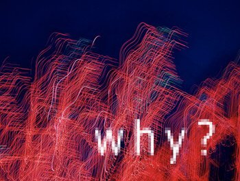 Explore Your Book’s Reasons “Why”