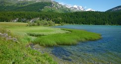 Sils Maria, Engadin
