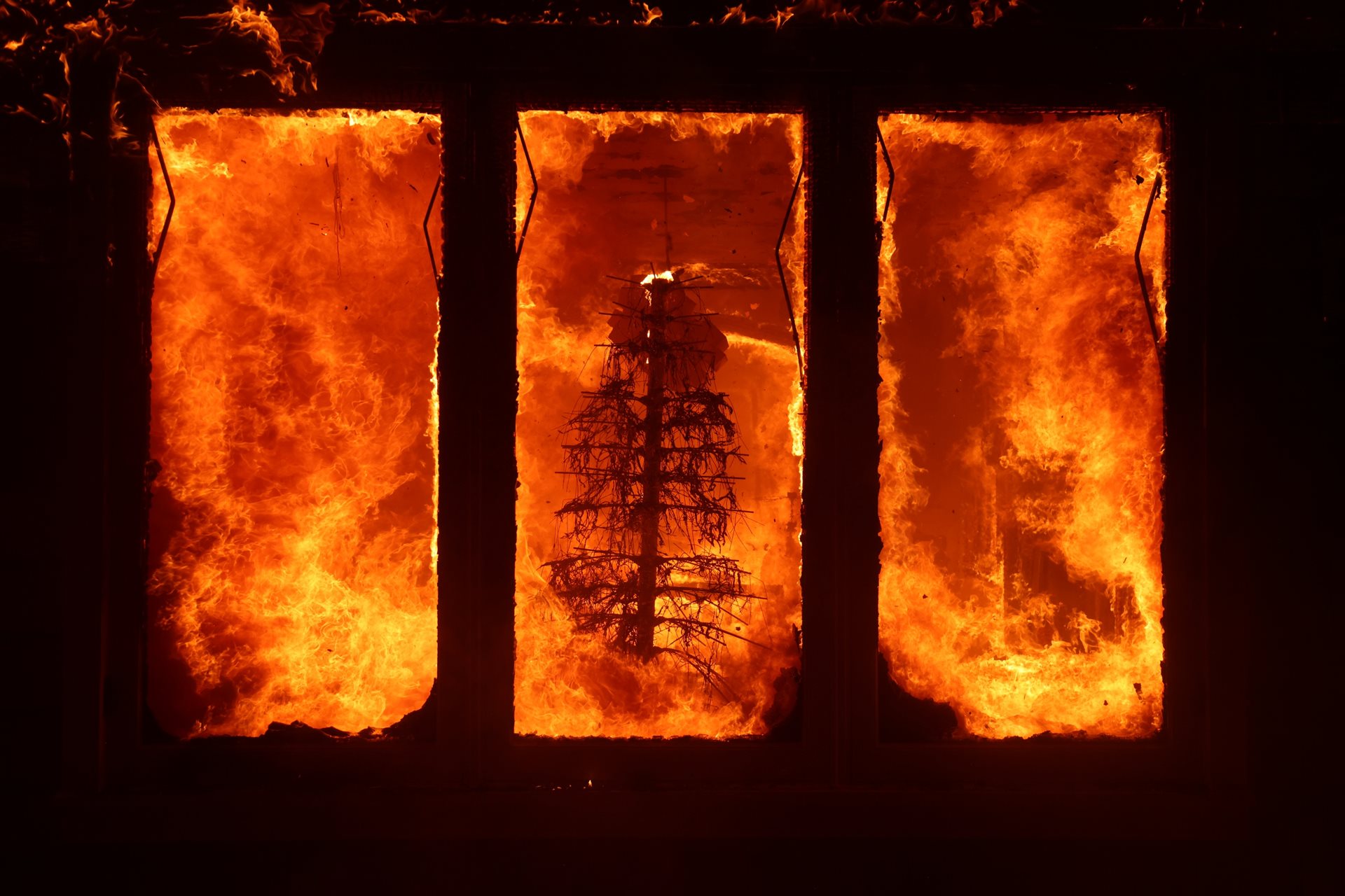 The Palisades Fire consumes a Christmas tree inside a residence. Santa Ana winds may have reignited a &ldquo;zombie fire&rdquo;; embers from a New Year&rsquo;s Day brushfire that had smoldered underground for days before surfacing during a period of record-low humidity. Los Angeles, California, United States.