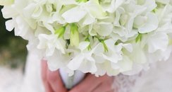 Zita Else Flowers